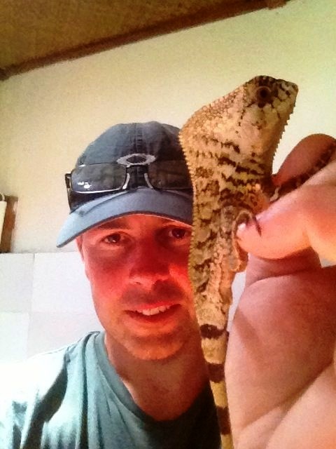 James Guatemala lizard