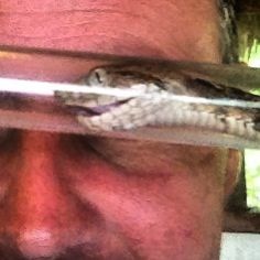 James Snake Tube Guatemala