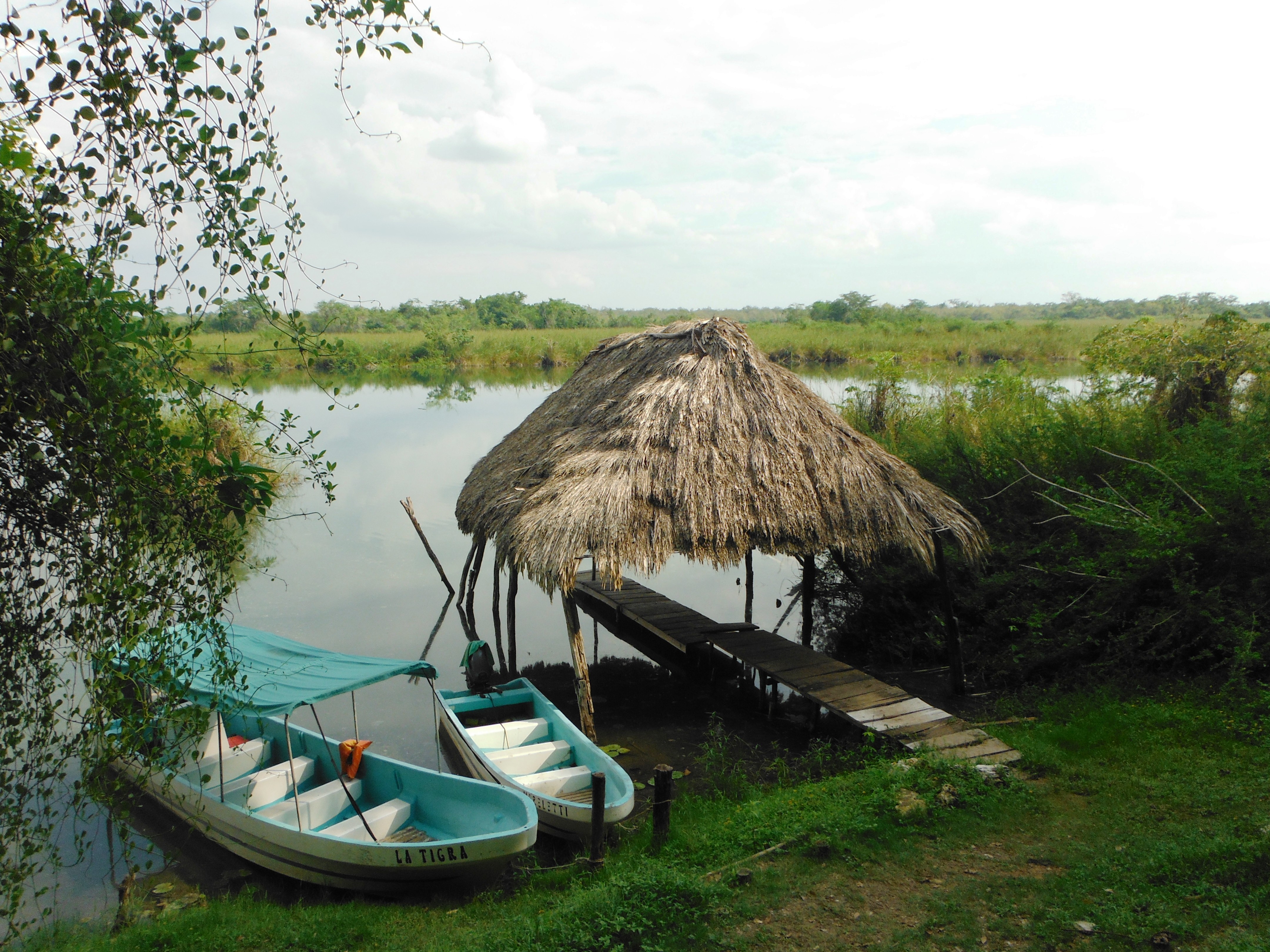 boats at dock