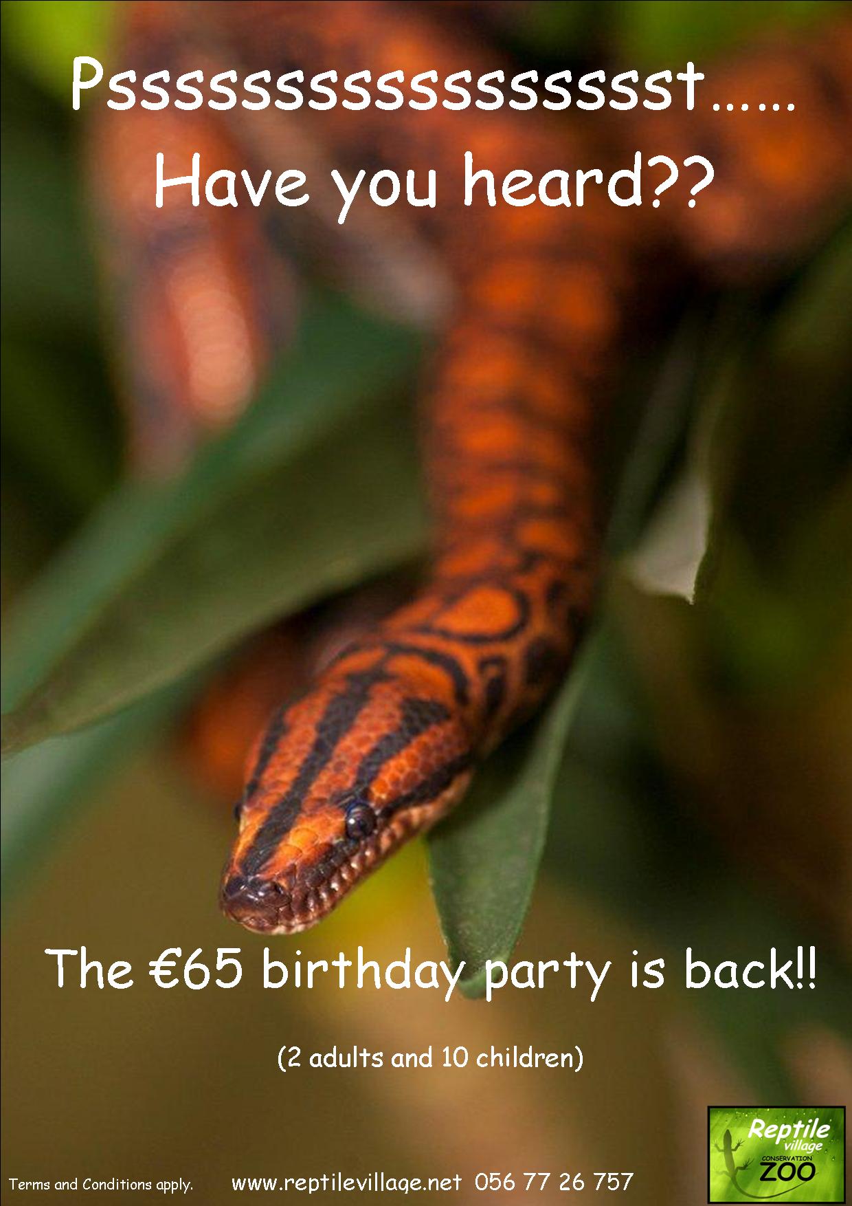65 party snake promo pic